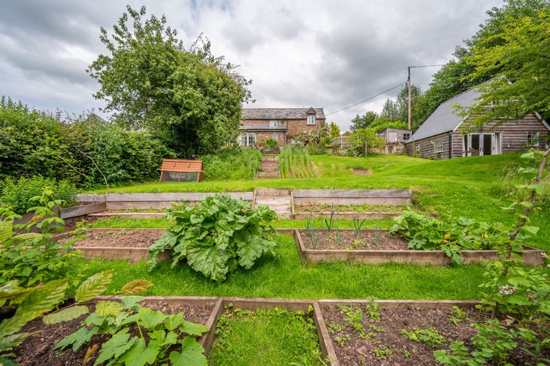 Garden- click for photo gallery